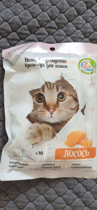 Нежное угощение для кошек крем суп