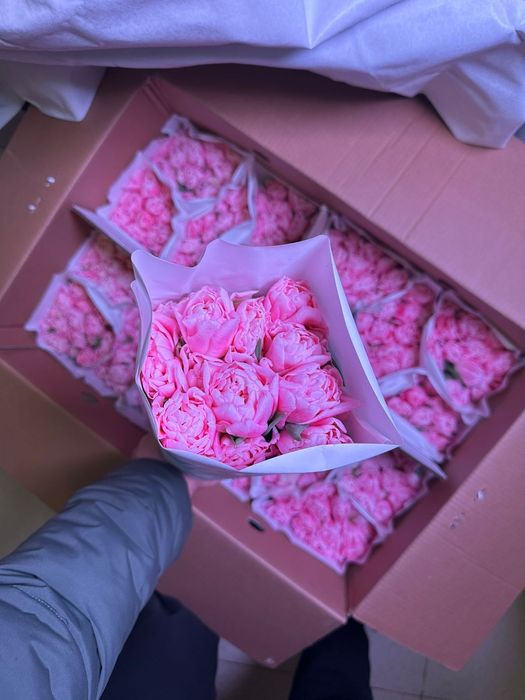 Белорусские тюльпаны оптом