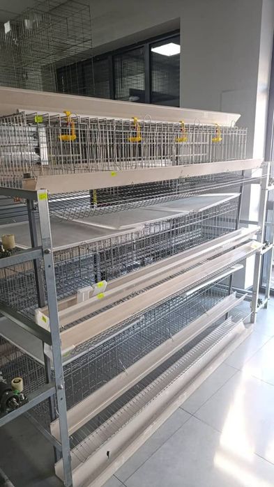Клетки для кур несушек