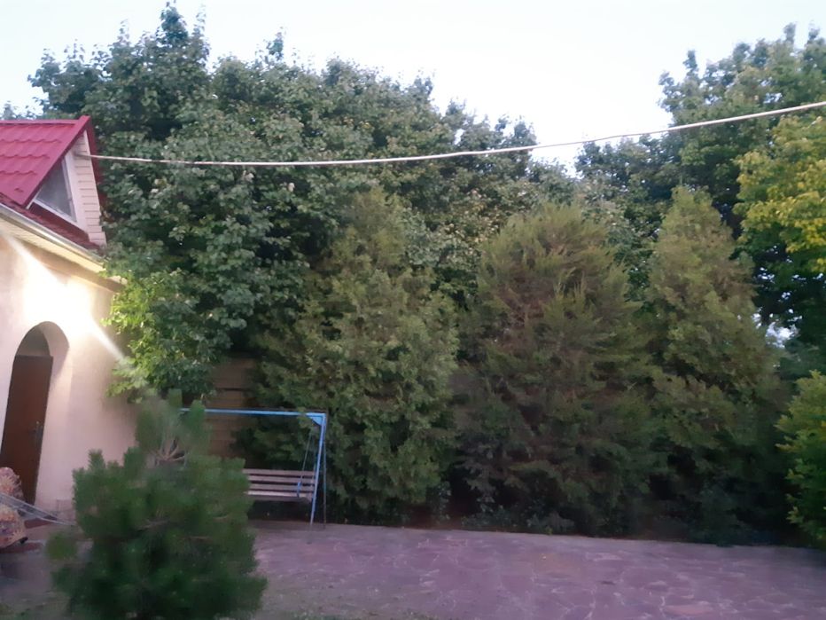 Коттедж гостевой дом дача квартира сауна посуточно