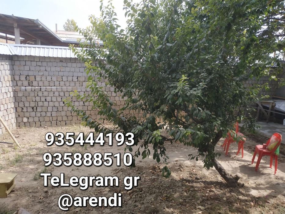 XovLi 2~3x 250~300ye Toshkent tumani ВАРИАНТ БОР RieLtor-50% Агентство