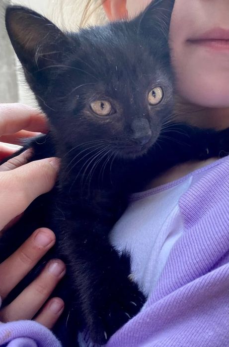 Болажонла уз уйини кидирмокда