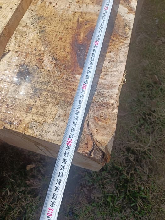 шпал,  таза,  терек