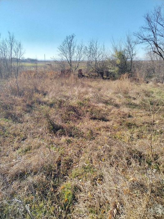 vand casa cu teren, sat Covei, judet Dolj