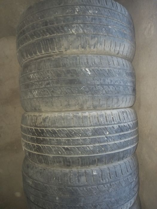 Kaptiva pakrishka