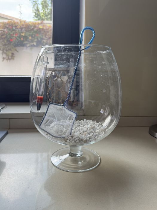 Acvariu decorativ pentru pesti