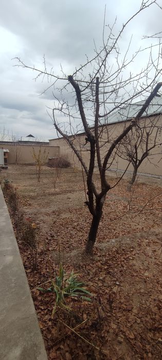 Ер учаска сотилади 2.3сотик