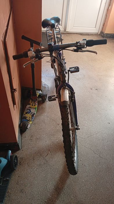 Moitain bike roti pe '26