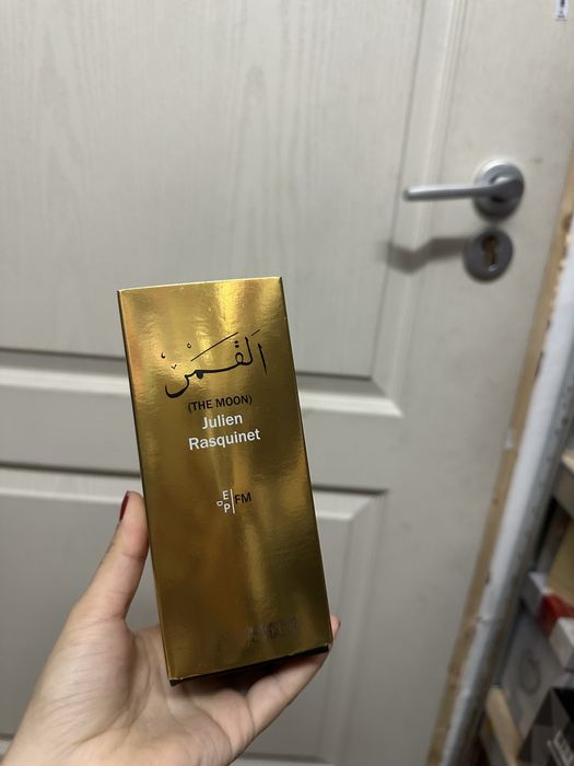 Dominique ropion the moon