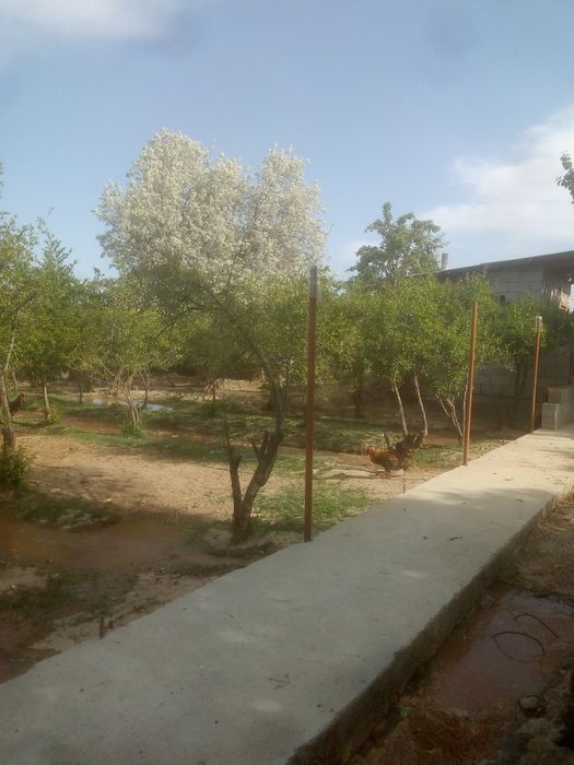 Sherobod tumani Oltin Voha MFY.da uy sotiladi