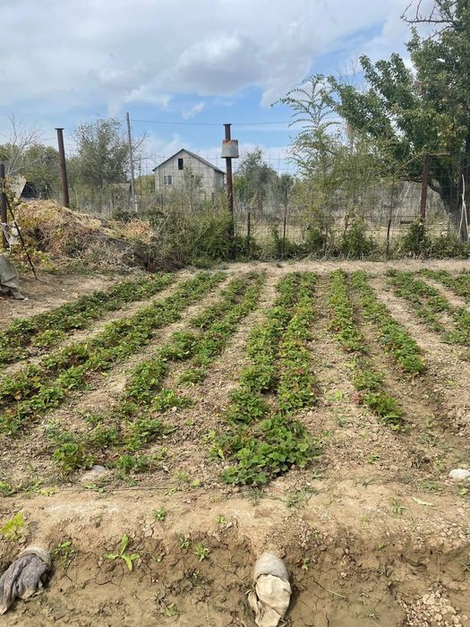 Продается дачный участок ( дача)