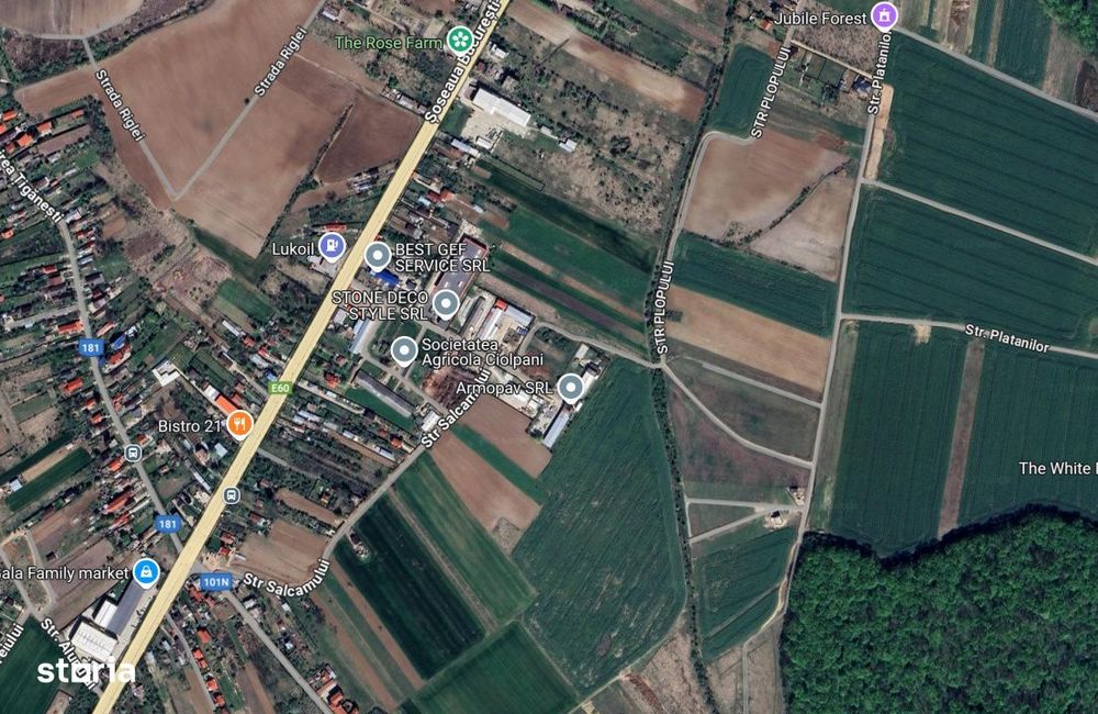 Teren 6900 m² de vanzare in Ciolpani