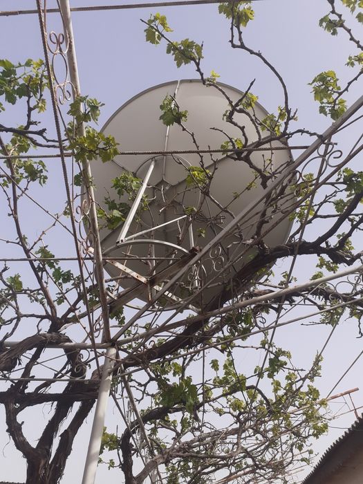 Parabolicheskaya antena kattasidan