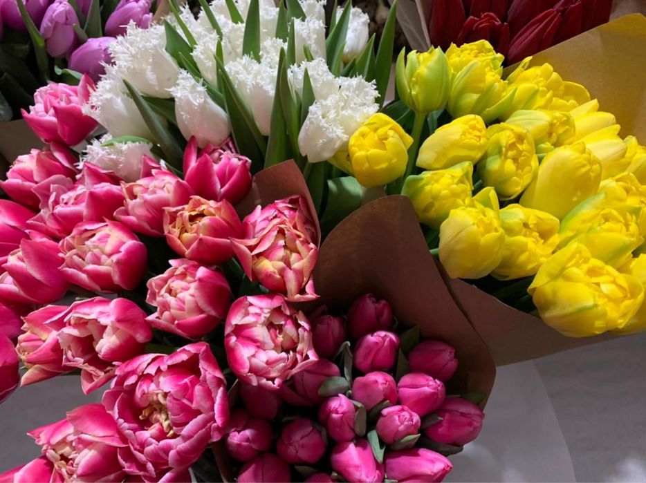 Тюльпаны оптом в Алматы (область) своя теплица