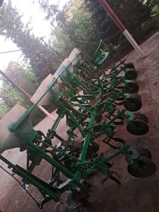 Сеолка сотилад .