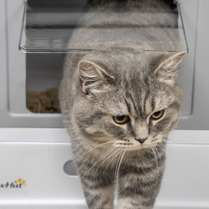 Котешка тоалетна, къщичка за котки с подложка и лъжичка, пластмаса, сива