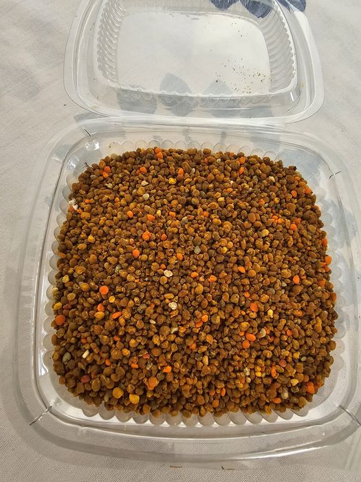 Polen crud de la pomi fructiferi papadie recoltat anul acesta