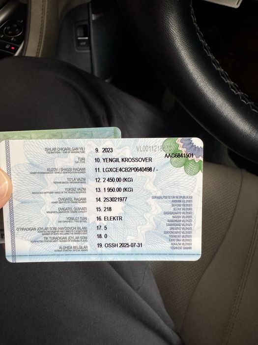 BYD Чемпион 605 HONOR 23/24