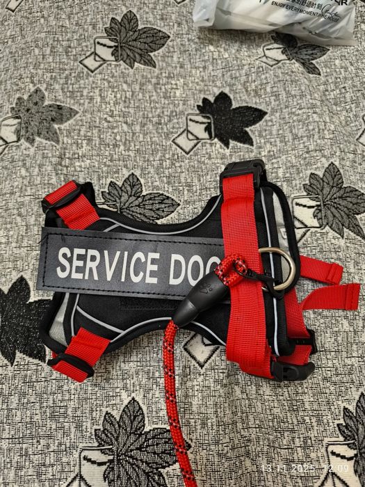 Шлейка с поводком