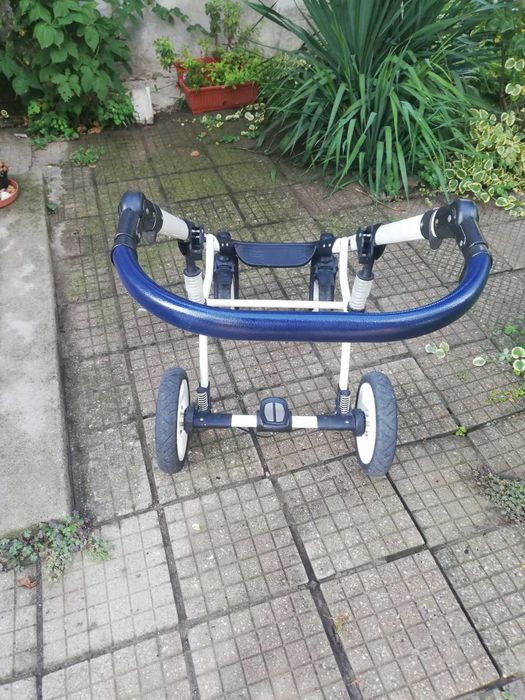 dada paradiso glamour