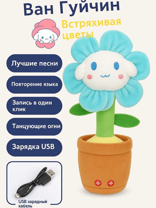 Raqsga Tushadigan Qo‘g‘irchoq Gul / Kaktus Shlyapali / Kaktus