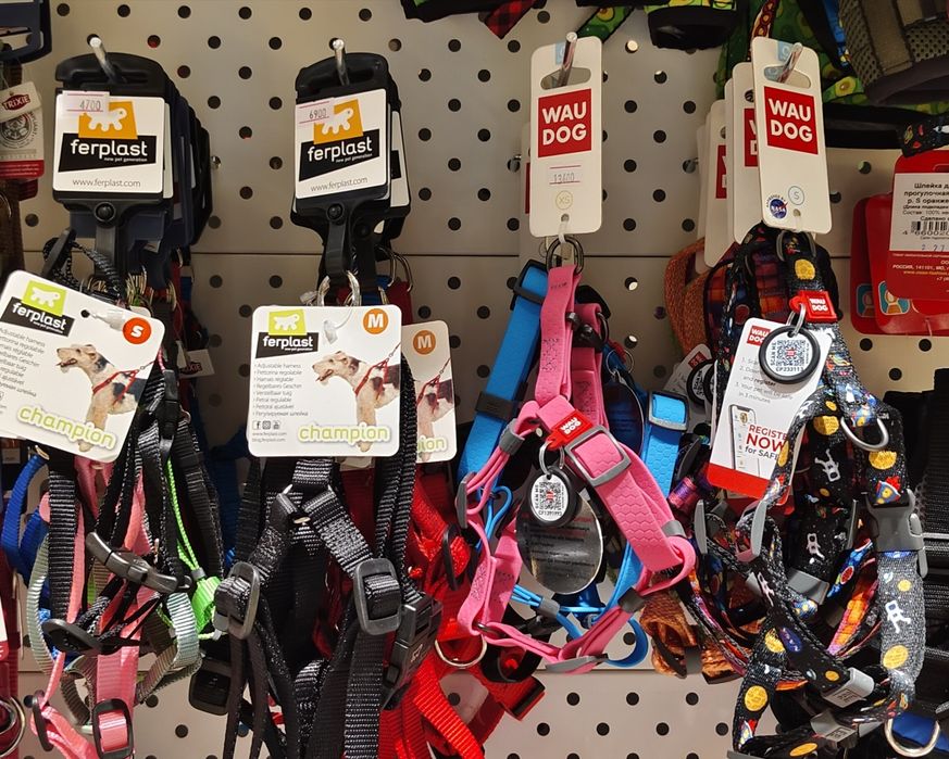 Шлейки для кошек,шлейка