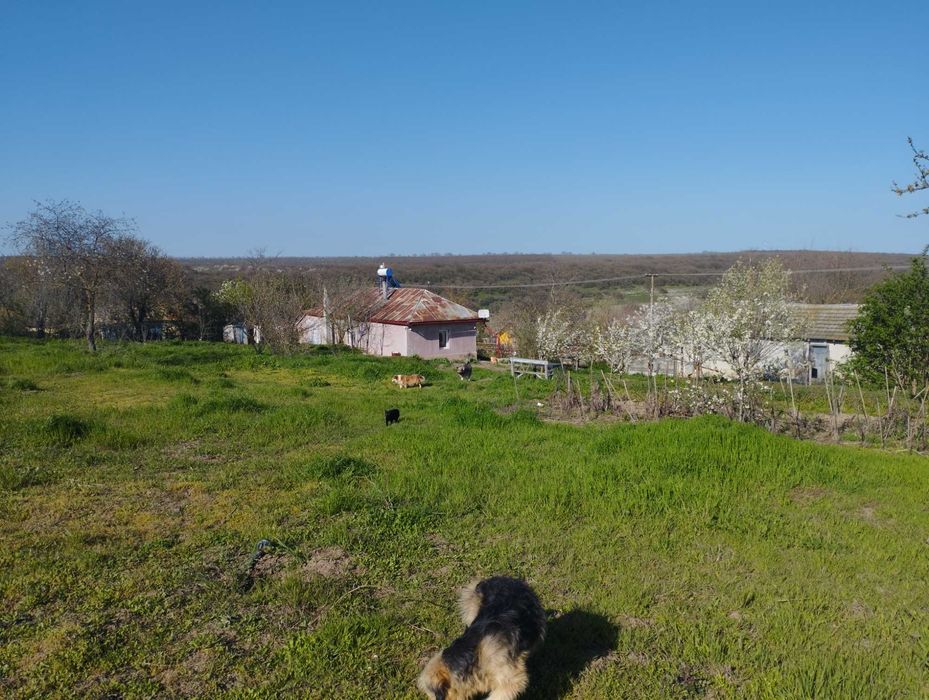 casa de vanzare 2 camere,dumbraveni,constanta.