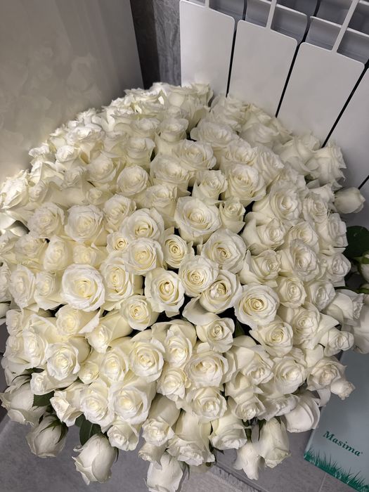 Продам свежие цветы 151 шт