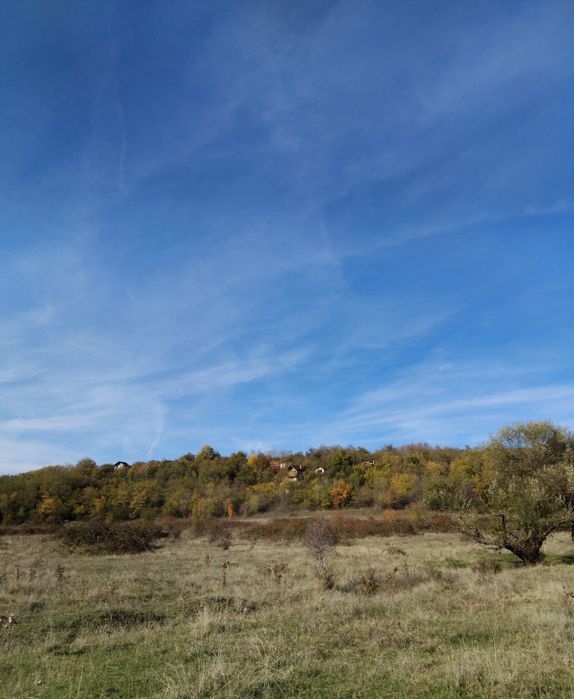 Продава се Парцел в Дупница - 2500 кв.м за 2 €/кв.м - Снимка #3