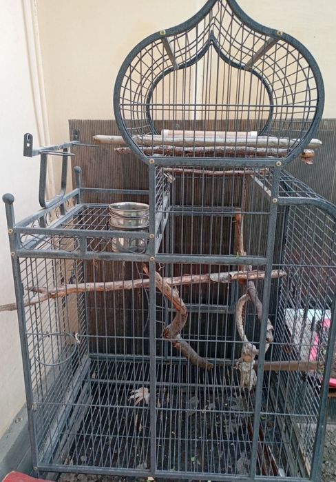 Катта попугай кушларга кафас сотилади. Состоянияси яхши холда б/у