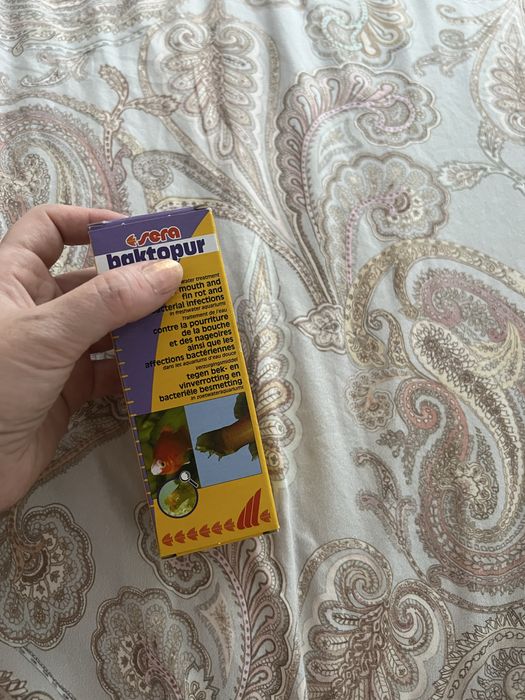 Sera baktopur in termen nou