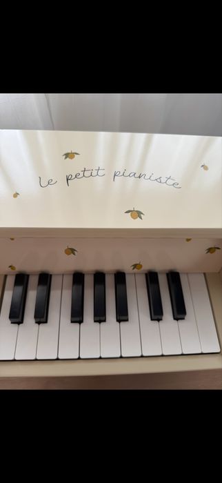 Le petit pianiste copii