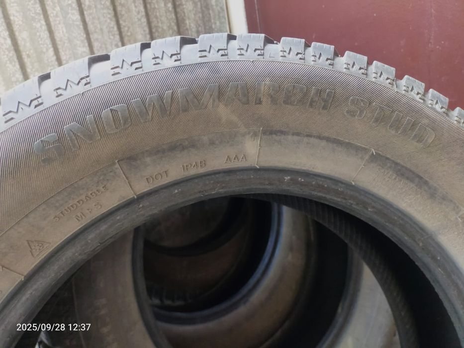 Шины зимние, шипованные