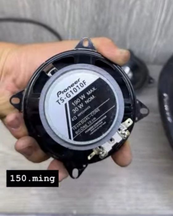 Pioner 10sm arginal kalonka