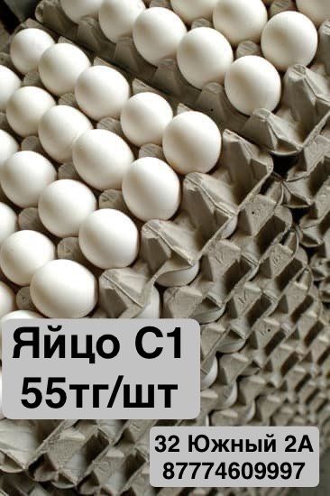 Яйцо куриное С1 - 55тг/шт