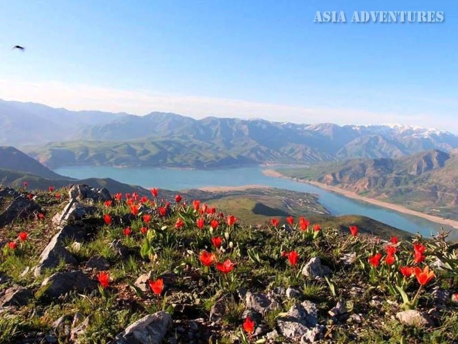 Trip to the Mountains | CHARVAK | CHIMGAN | BOCHKA