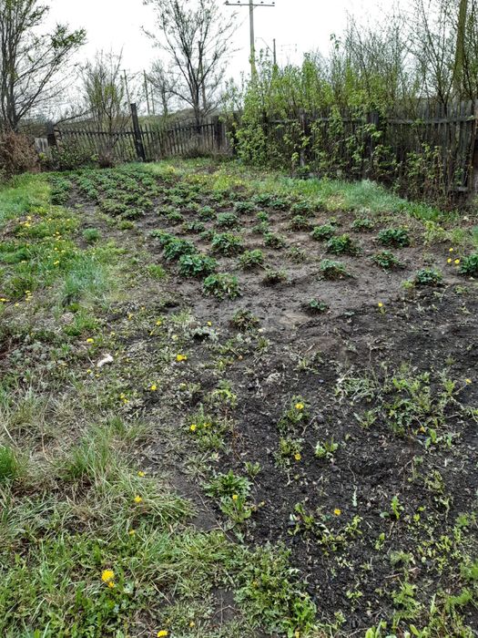 Продаю дом майкудук