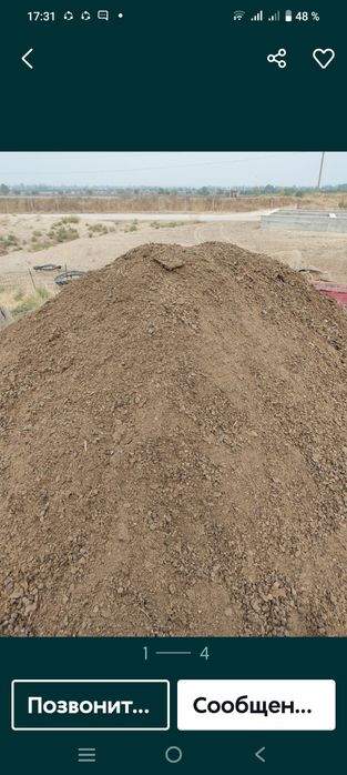 Gong mol va qoʻy gonglari