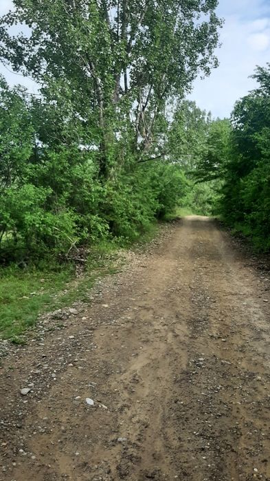 Teren de vânzare .SCHIMB .