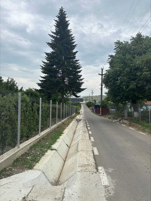 Casa Belcesti - Aproape de Centru si Gara - 1033 MP (111 MP Casa )