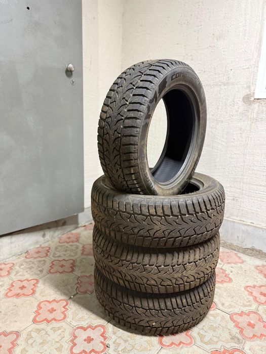 Шины  Compasal R18