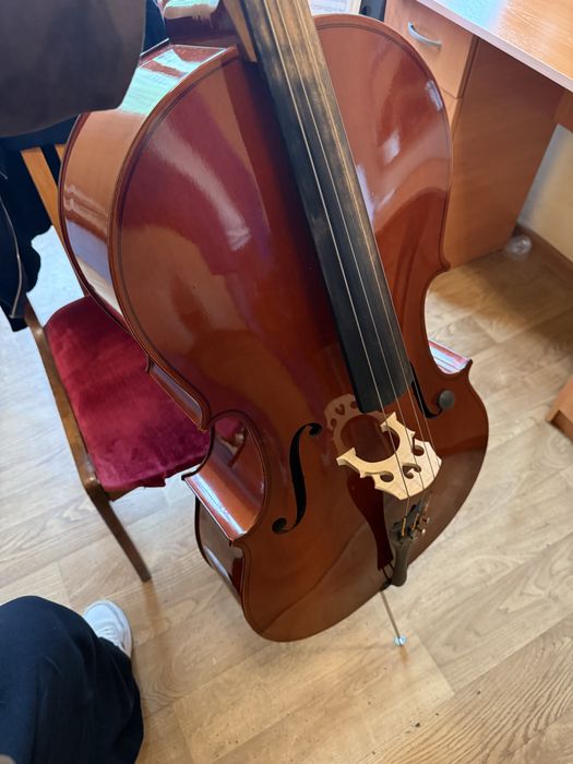 Виолончель 4/4