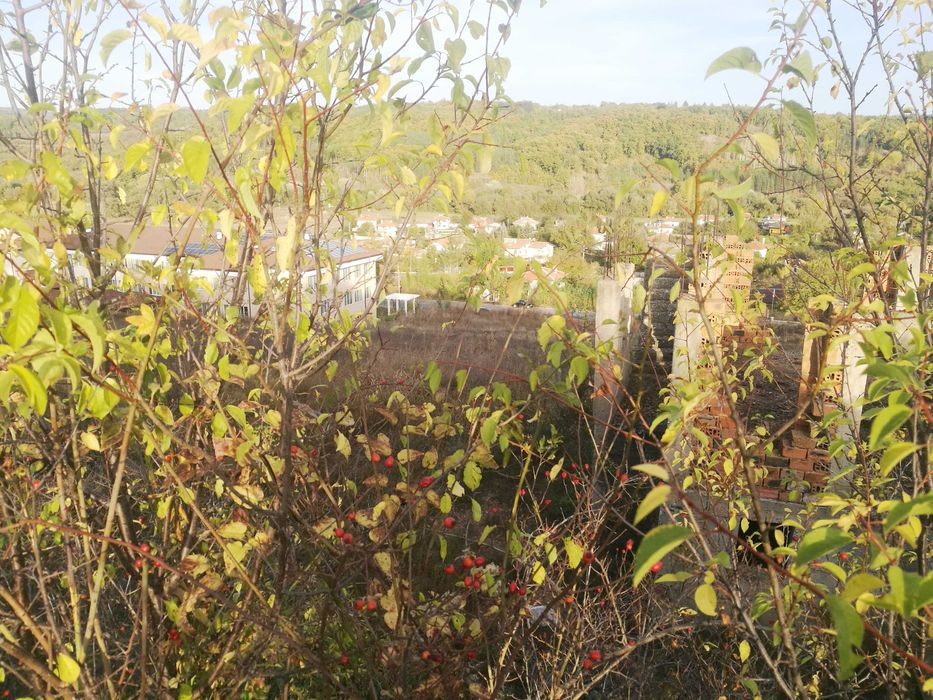 Продава се Парцел в с. Ковачевци, Област Перник - 5560 кв.м за 53 €/кв.м - Снимка #11