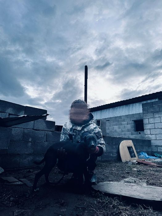 Пит сатылады.