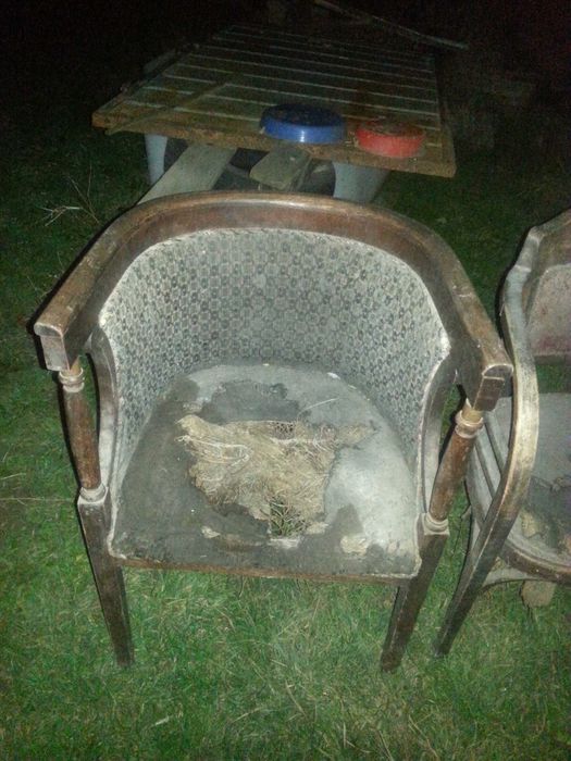 Стари антикварни столове