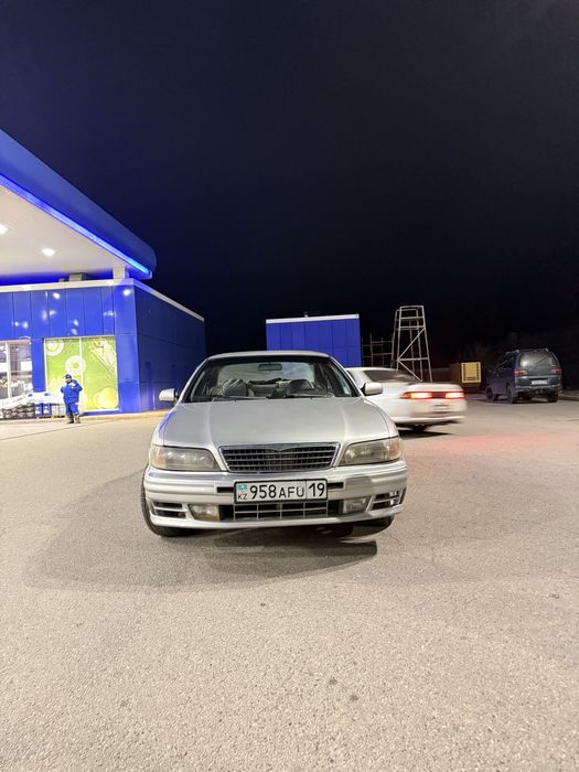 Жагдаиы жаксы балпык би де тур