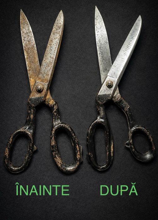 Servicii ascuțit Cuțite/Foarfeci | 20 LEI | Cluj | Recondiționare