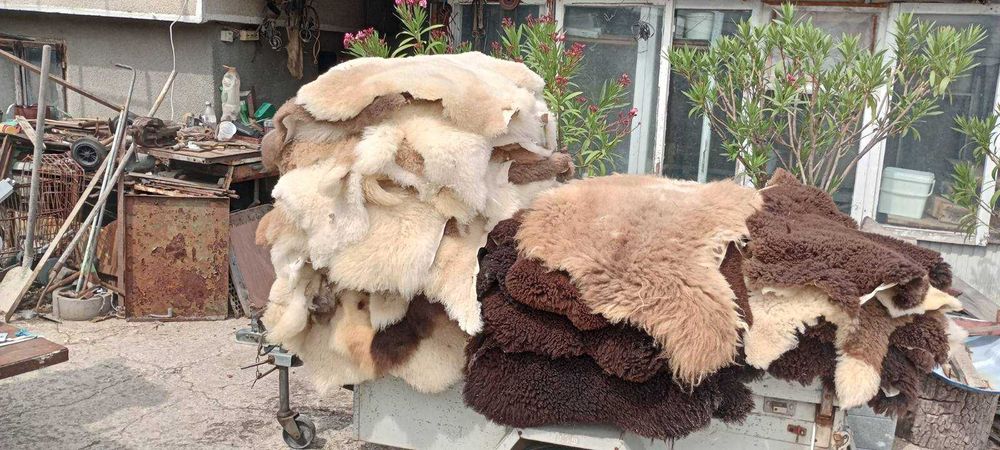 Обработена агнешка кожа за ценители /агнешки кожи/