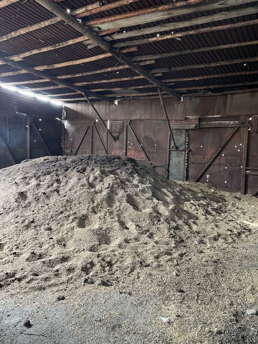 Продам ячмень в рассыпную