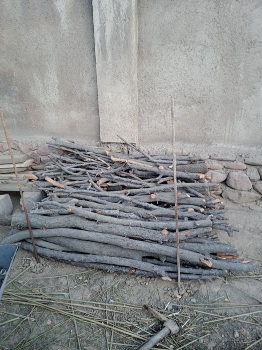 Утин бор сотилади